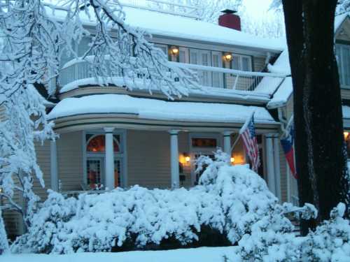 A cozy house covered in snow, with American and Texas flags visible, surrounded by snow-laden trees.