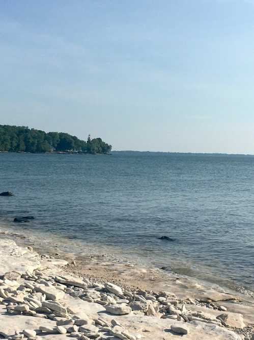 A serene shoreline with smooth stones, gentle waves, and a distant lighthouse surrounded by lush greenery.