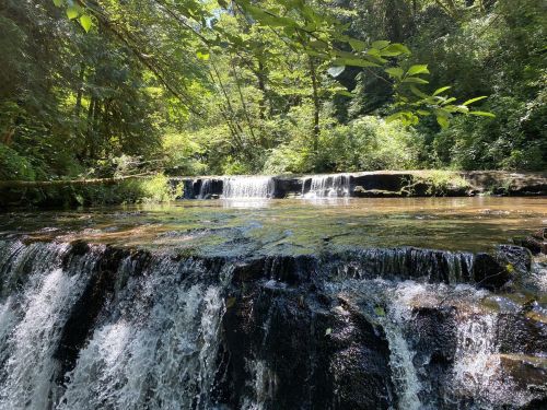A serene waterfall cascades over rocks, surrounded by lush green foliage and trees in a tranquil forest setting.