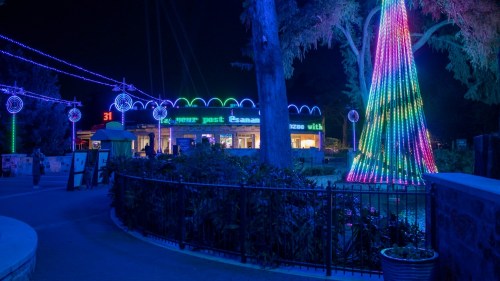 Colorful lights illuminate a tree and building at night, creating a festive atmosphere in a park setting.