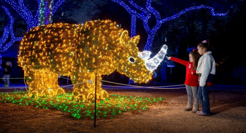 Two children point at a large illuminated rhinoceros sculpture surrounded by colorful holiday lights at night.