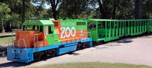 A colorful train with "San Antonio Zoo" branding, parked on a path surrounded by trees.