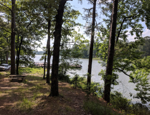 A serene lakeside view with trees, a picnic table, and a dock in the distance under a clear blue sky.