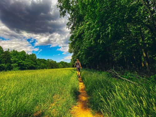 A person walks along a dirt path through tall grass, surrounded by trees under a partly cloudy sky.
