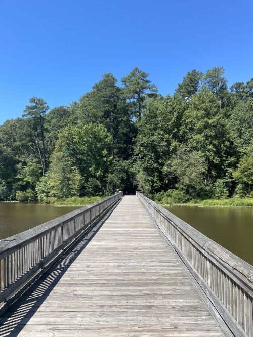 A wooden boardwalk extends over a calm lake, surrounded by lush green trees under a clear blue sky.