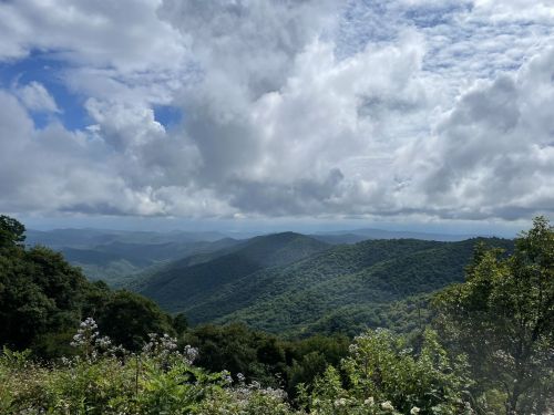 A scenic view of rolling green mountains under a cloudy sky, with lush vegetation in the foreground.