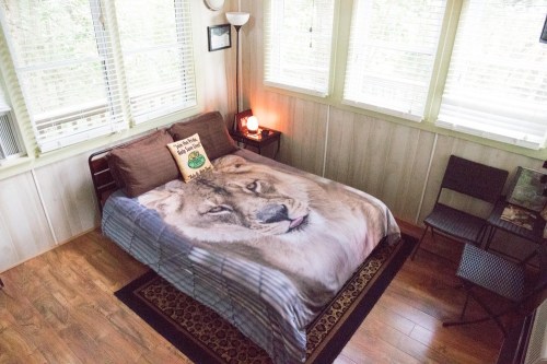 Cozy bedroom featuring a lion-themed blanket, wooden floors, and two chairs beside a nightstand with a lamp.