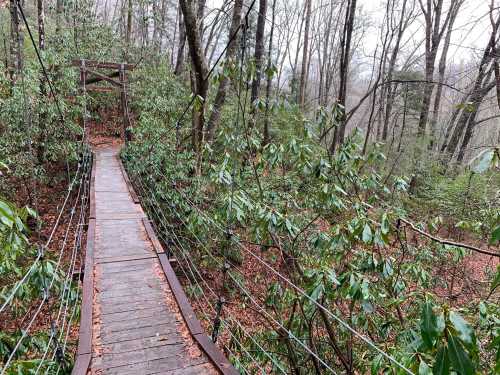 A wooden suspension bridge surrounded by lush greenery and trees in a misty forest setting.