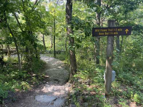 A wooded path with a sign indicating the Wild Flower Trail (1/2 mile) and Bone Bed Trail (1/4 mile) ahead.