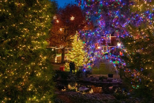 A festive scene with colorful Christmas lights on trees, a pond, and a couple admiring the decorations at dusk.