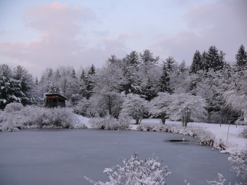 A serene winter scene featuring a frozen pond surrounded by snow-covered trees and a small cabin in the background.