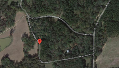 Aerial view of a wooded area with intersecting roads, including Old Bridgeport Rd and Edwards Rd, marked with a red pin.