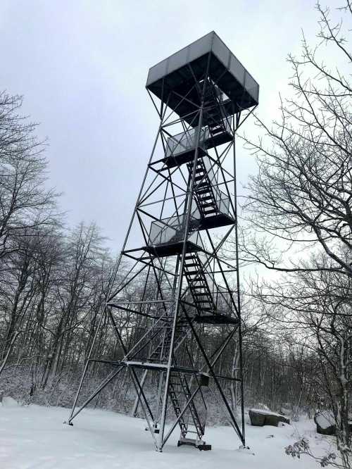 A tall metal observation tower surrounded by snow-covered trees under a cloudy sky.