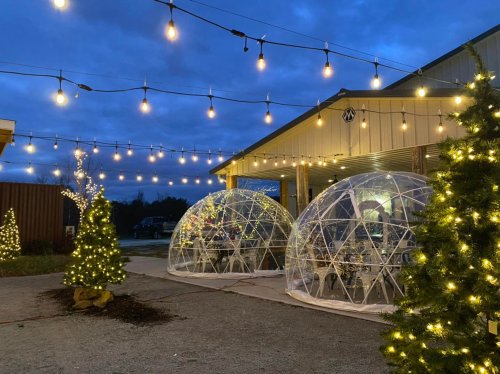 Two clear igloos with tables inside, surrounded by string lights and decorated trees, under a twilight sky.