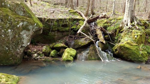 A serene stream flows over moss-covered rocks in a lush, wooded area, surrounded by trees and greenery.