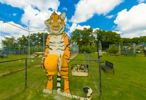 A large, colorful tiger statue holding an orange ball in a grassy area with blue skies and trees in the background.