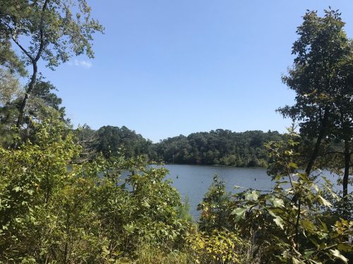 A serene lake surrounded by lush greenery under a clear blue sky.