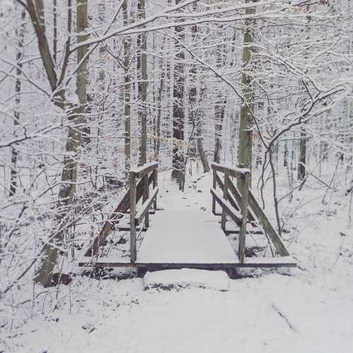 A snow-covered wooden bridge in a serene, snowy forest with trees blanketed in white.