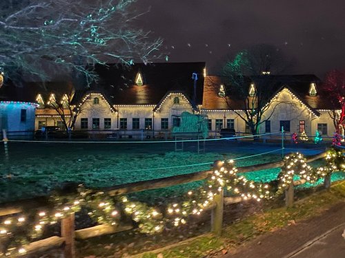 A festive building decorated with colorful lights, surrounded by greenery and a fence, under a night sky.