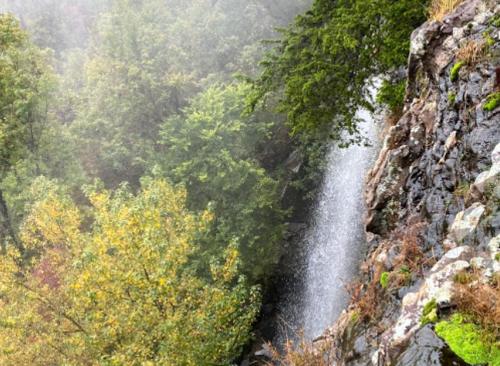 A waterfall cascading down rocky cliffs, surrounded by lush green trees and misty fog.