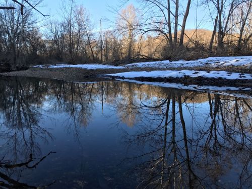 A serene river scene with trees reflecting in calm water, surrounded by snow and bare branches under a clear blue sky.