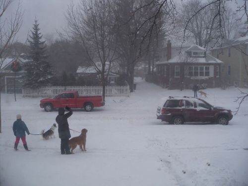 A snowy street scene with two people walking dogs, a red truck, and a house in the background.