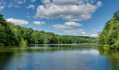 A serene lake surrounded by lush green trees under a blue sky with fluffy clouds.