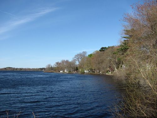A serene lakeside view with trees lining the shore under a clear blue sky.