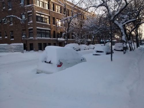 A snowy street lined with parked cars, completely covered in thick layers of snow, with a brick building in the background.