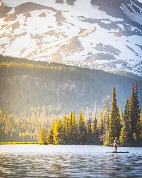 A person paddleboarding on a calm lake surrounded by lush trees and snow-capped mountains in the background.