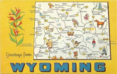 A colorful postcard map of Wyoming, featuring landmarks, cities, and the state flower, Indian paintbrush.