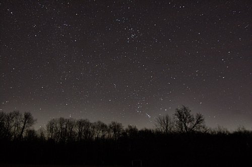A starry night sky filled with numerous stars above a dark silhouette of trees.