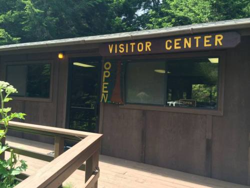 A wooden visitor center with an "OPEN" sign, surrounded by trees and greenery.