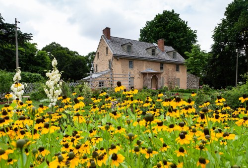 A historic house surrounded by vibrant yellow flowers and lush greenery under a cloudy sky.