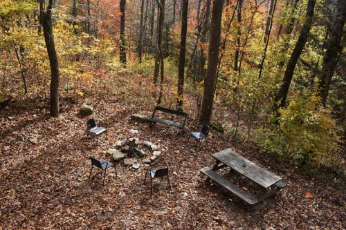 A serene forest scene with a picnic table, chairs, and a fire pit surrounded by colorful autumn foliage.