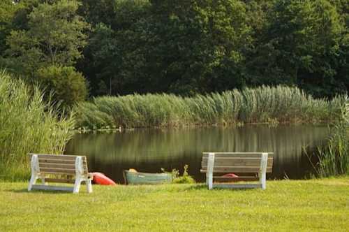 Two wooden benches facing a calm pond surrounded by lush greenery and tall grass. A canoe is visible on the water.