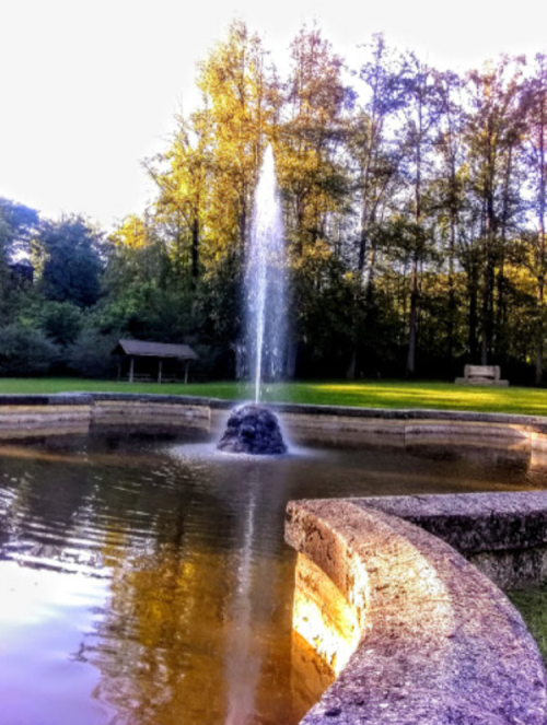 A fountain sprays water into a serene pond, surrounded by trees and a grassy area in a peaceful park setting.