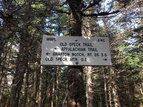 Trail sign in a forest, indicating directions to Old Speck Trail, Appalachian Trail, and Grafton Notch.