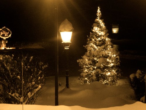 A snowy night scene featuring a decorated Christmas tree and a lamppost, softly illuminated in warm light.