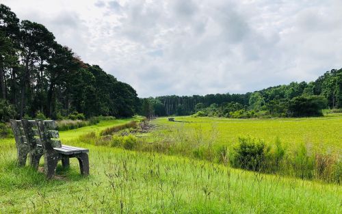 A wooden bench overlooks a serene green field and trees under a cloudy sky.