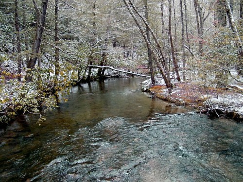 A serene winter scene of a flowing river surrounded by snow-dusted trees and a peaceful forest landscape.