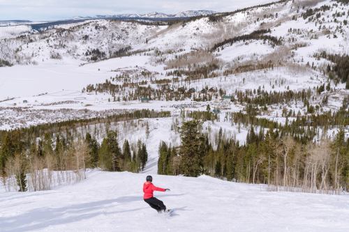 A skier in a red jacket descends a snowy slope, with a mountainous landscape and a valley below.