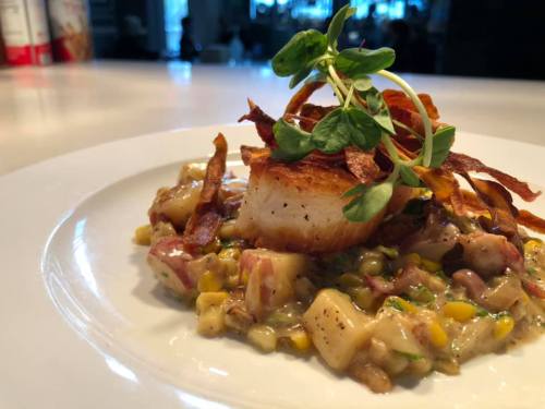 A beautifully plated dish featuring a seared scallop atop a creamy mixture with vegetables and crispy garnishes.