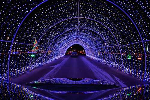 A car drives through a tunnel of vibrant blue and white holiday lights, creating a festive atmosphere.