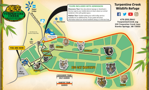 Map of Turpentine Creek Wildlife Refuge showing tour options, animal habitats, and visitor information.