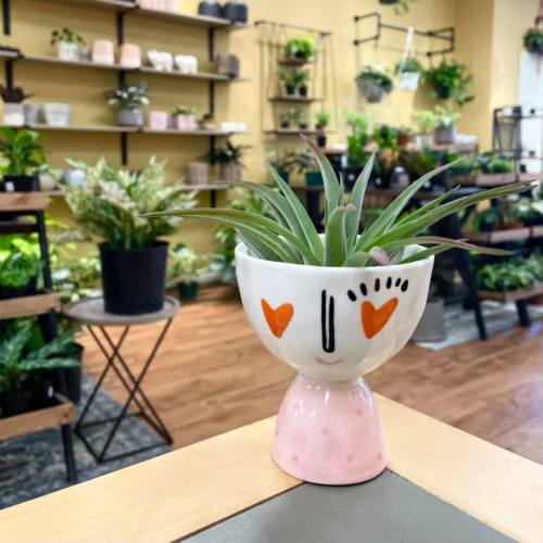 A cheerful plant pot with a smiling face holds a green plant, surrounded by various indoor plants in a cozy shop.