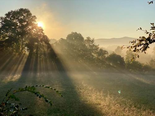 Sunrise over a misty landscape, with rays of light filtering through trees and illuminating the serene scene.