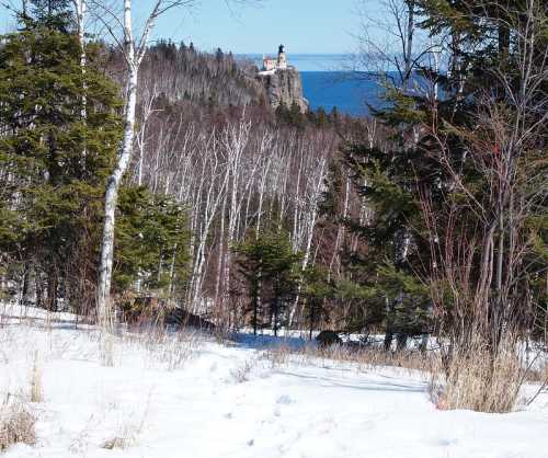 A snowy path leads through trees to a distant lighthouse overlooking the ocean.