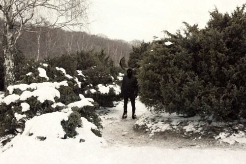 A dark figure with horns stands among snow-covered bushes in a winter landscape.