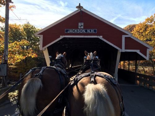 Two horses pull a carriage towards a red covered bridge labeled "JACKSON, N.H." surrounded by autumn foliage.